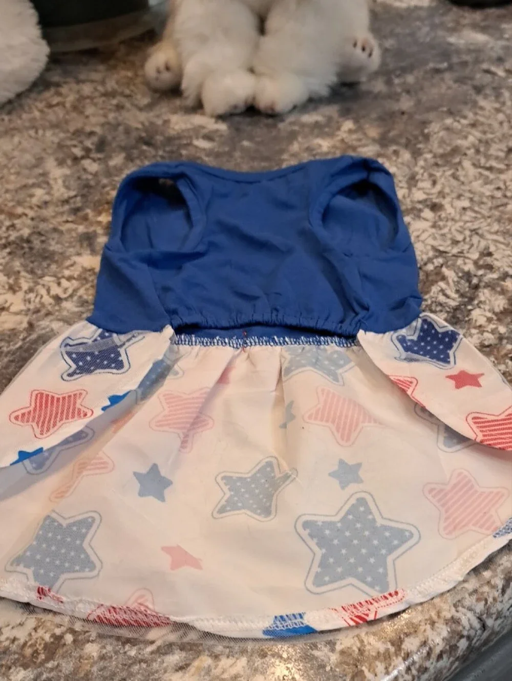 Happy 4th of July Red White & Blue Star Dress